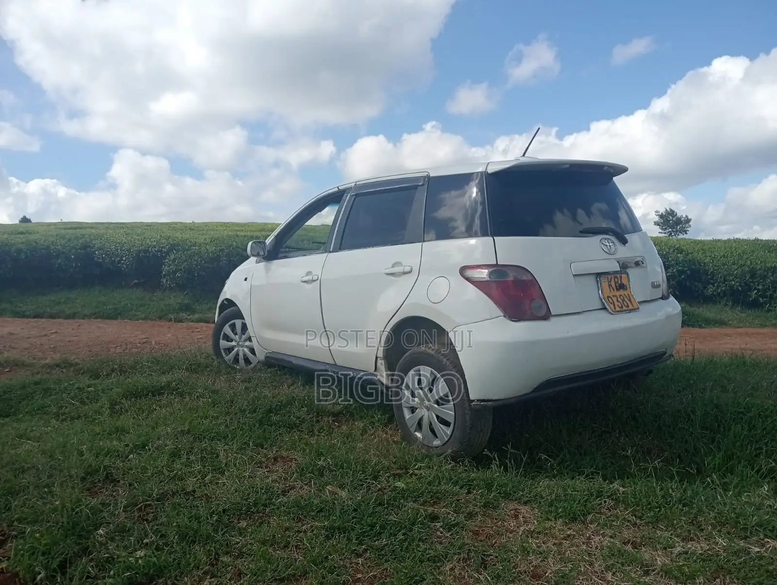Toyota IST 2004 White