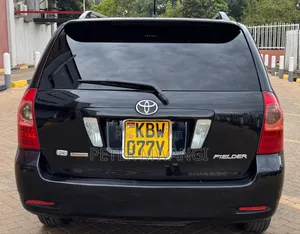 Toyota Corolla Fielder 2006 Black