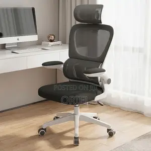 Office Chair : Staff Workstation Seat