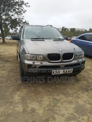 BMW X5 3.0i 2005 Gray