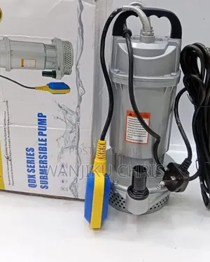 0.75HP QDX Series Submersible Pump With Float Switch