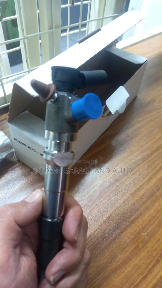 Ford Raptor Injector Nozzles