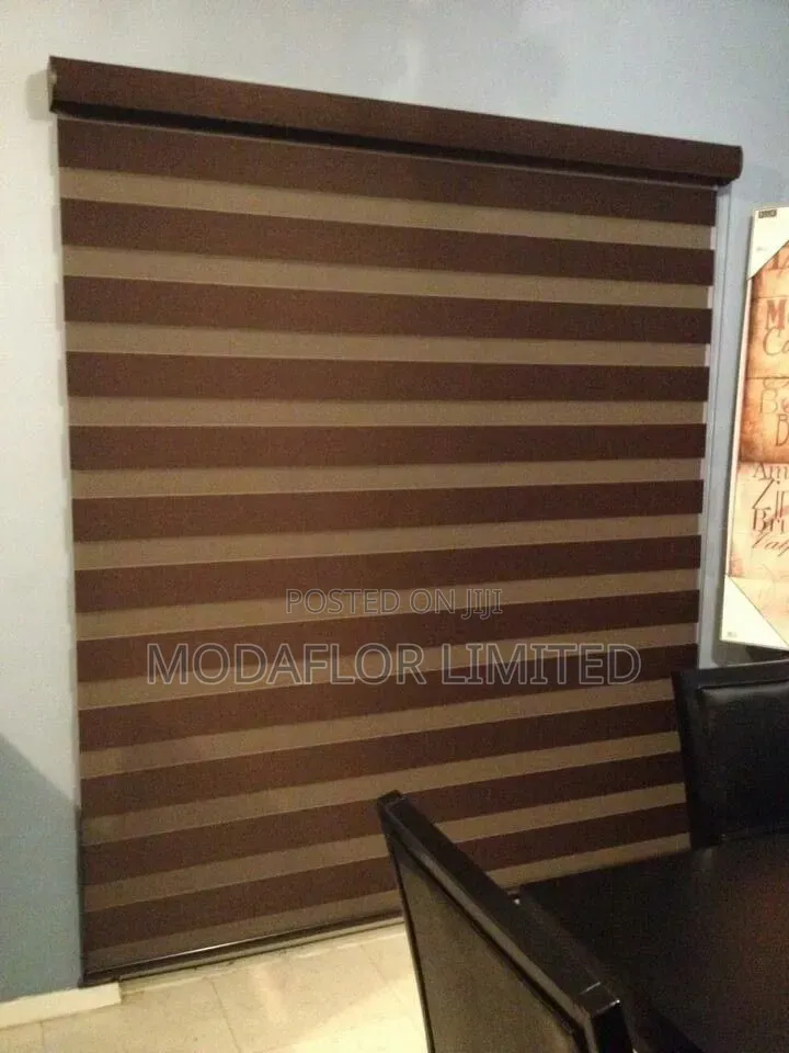 Zebra Blinds for Professional Office Interiors