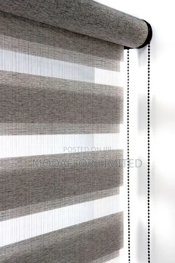 Zebra Blinds for Professional Office Interiors