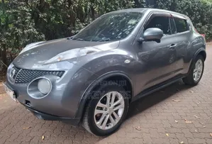 Nissan Juke 2012 Gray
