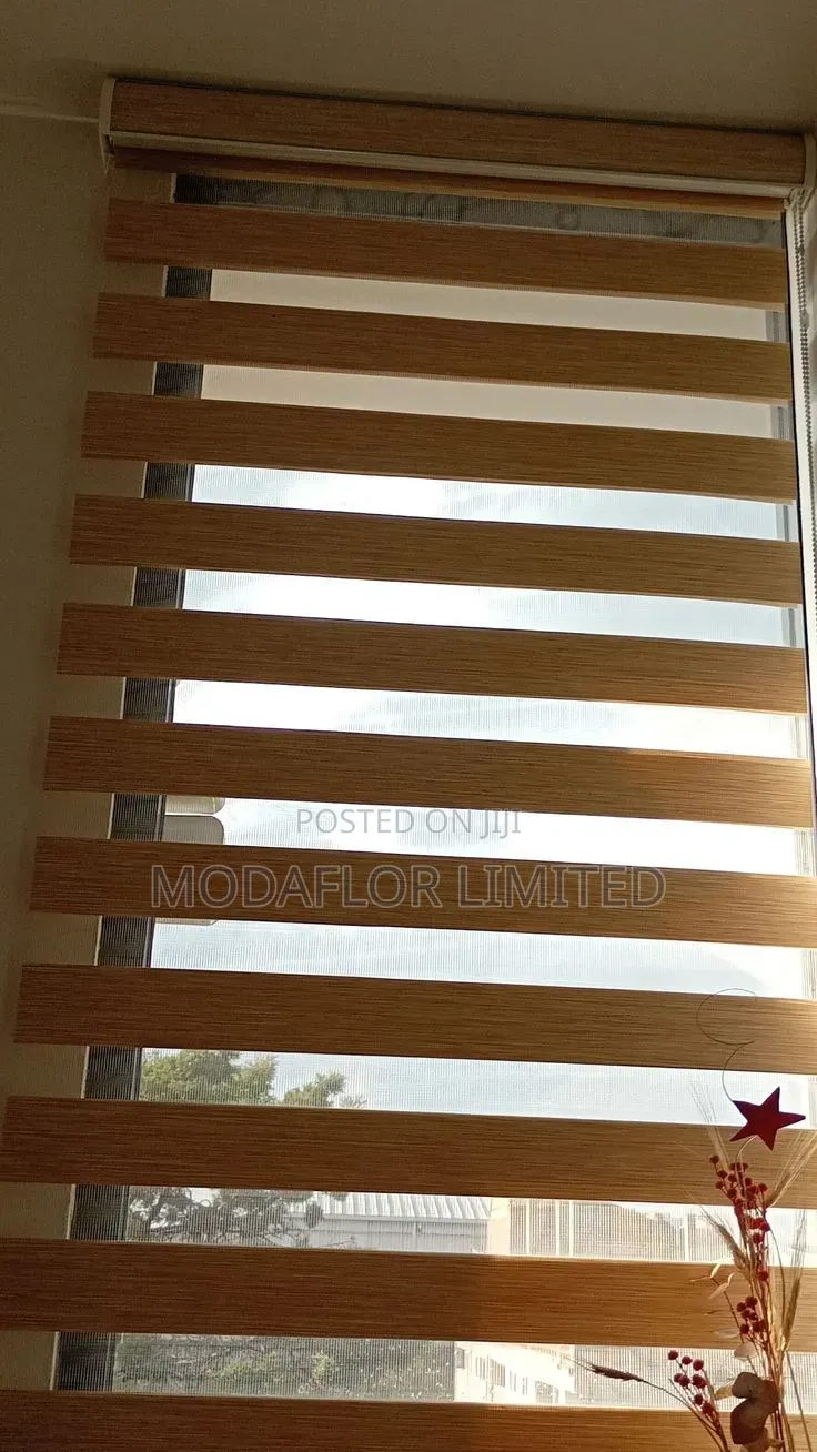 Zebra Roller Blinds – Perfect Balance of Light