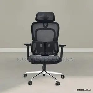 Orthopedic Chair : High-Back Ergonomic Mesh Office Chair