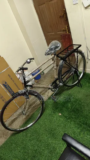 Cargo Bike Double Bar