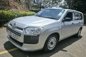 Toyota Probox 2019 Silver