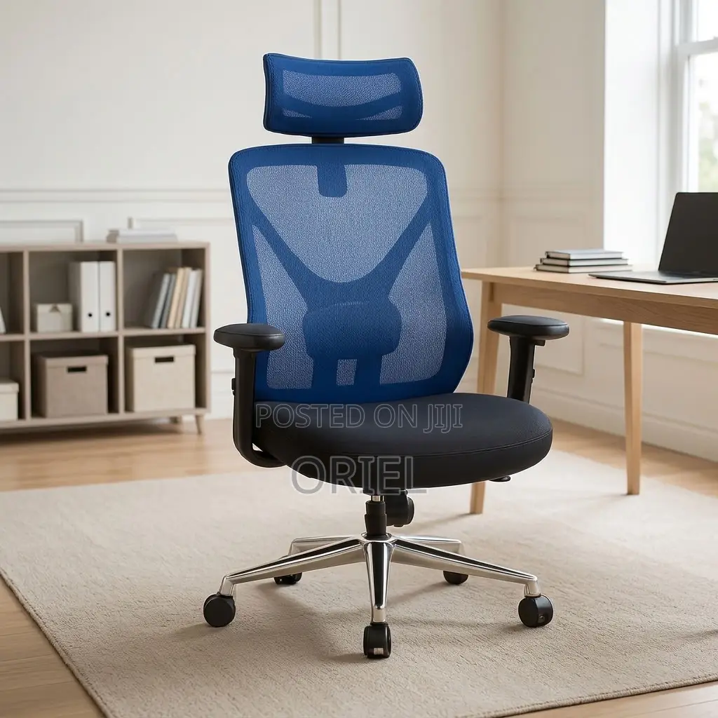 Office Chair : Blue Mesh Back Office Ergonomic Seat