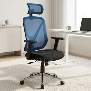 Office Chair : Blue Mesh Back Office Ergonomic Seat
