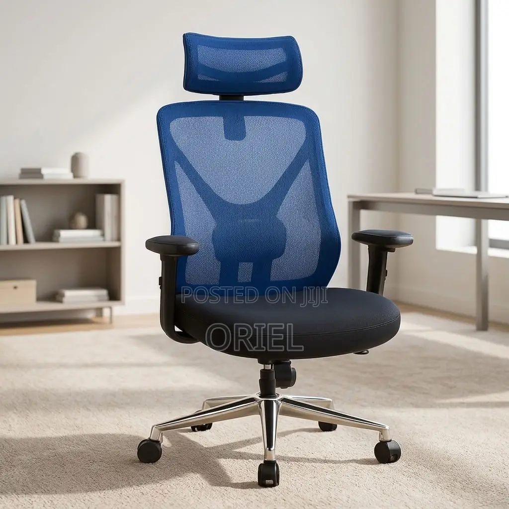 Office Chair : Blue Mesh Back Office Ergonomic Seat