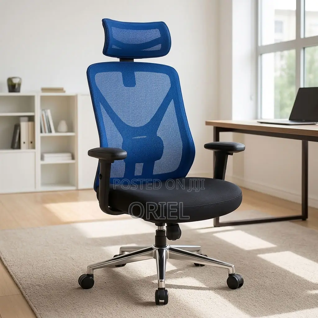 Office Chair : Blue Mesh Back Office Ergonomic Seat