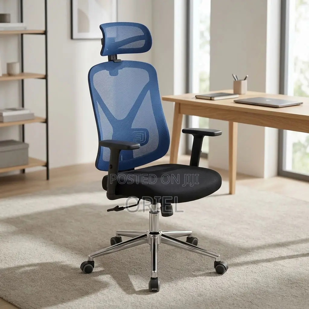 Office Chair : Blue Mesh Back Office Ergonomic Seat