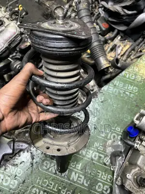 Front Extrail T32 Shocks