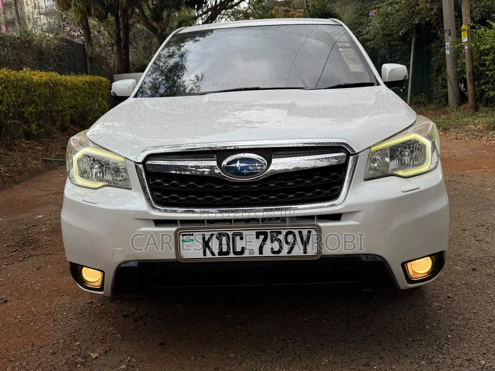 Subaru Forester 2015 Pearl