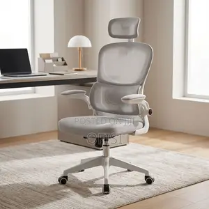 Office Chair; Grey Orthopedic Executive Chair