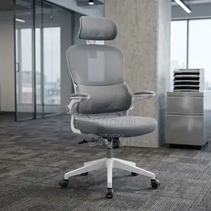 Office Chair; Grey Orthopedic Executive Chair