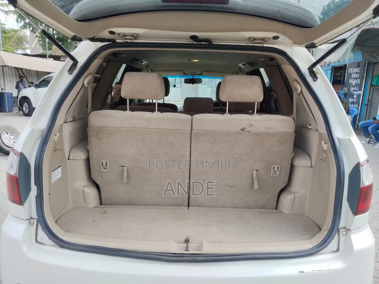 Toyota Ipsum 2009 Pearl