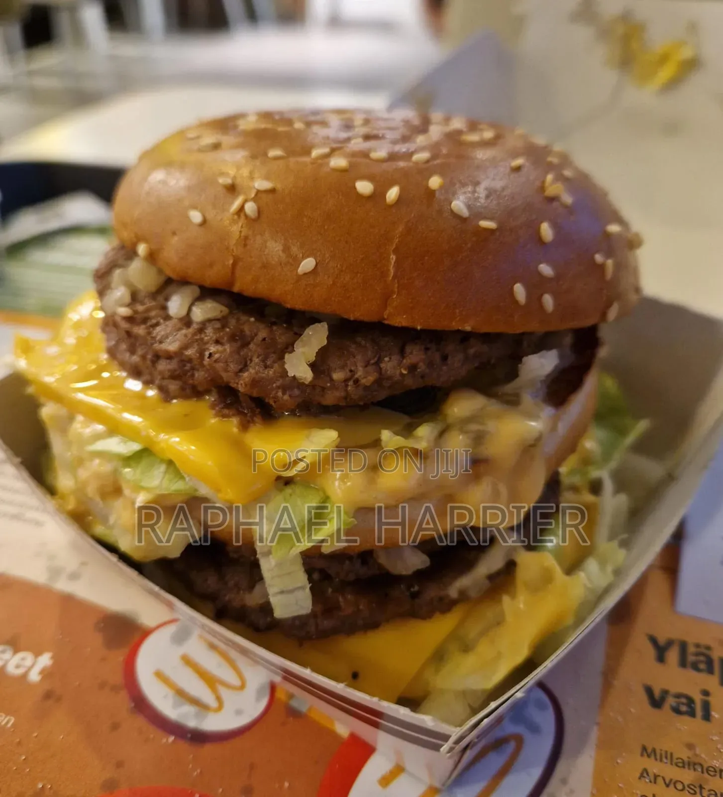 Large Sandwich