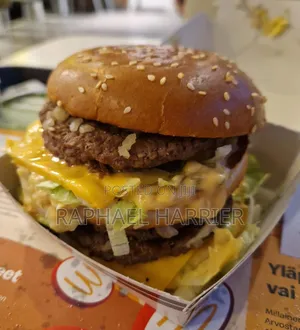 Large Sandwich