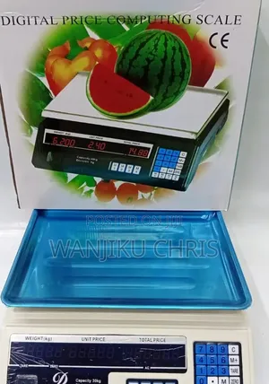 ACS 30KG Armless Digital Price Computing Scale