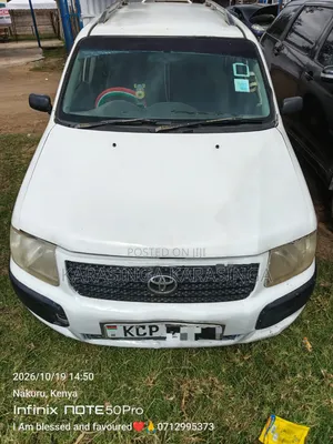 Toyota Succeed 2010 White