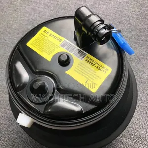 Rear Air Spring Suspension LAND CRUISER PRADO 150