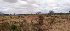 Quarter Acre Plots for Sale in Ngong Kimuka