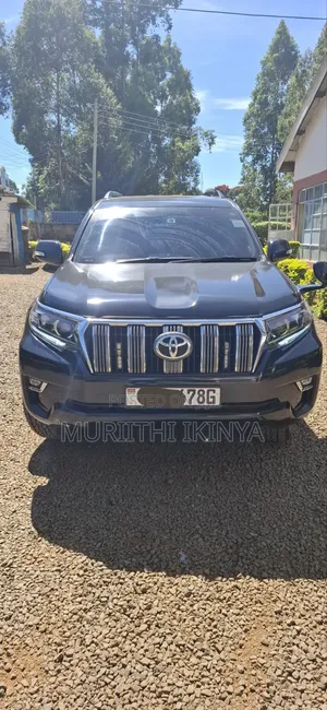 Toyota Land Cruiser Prado 2012 Gray