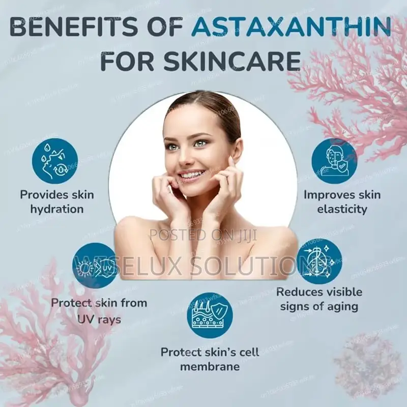 Astaxanthin 12mg Antioxidant Supplement – 120 Softgels