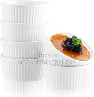 White Ceramic Ramekin Bowl