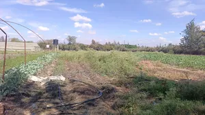 5 Acres for Sale in Kitengela 700 Metres From Tarmac