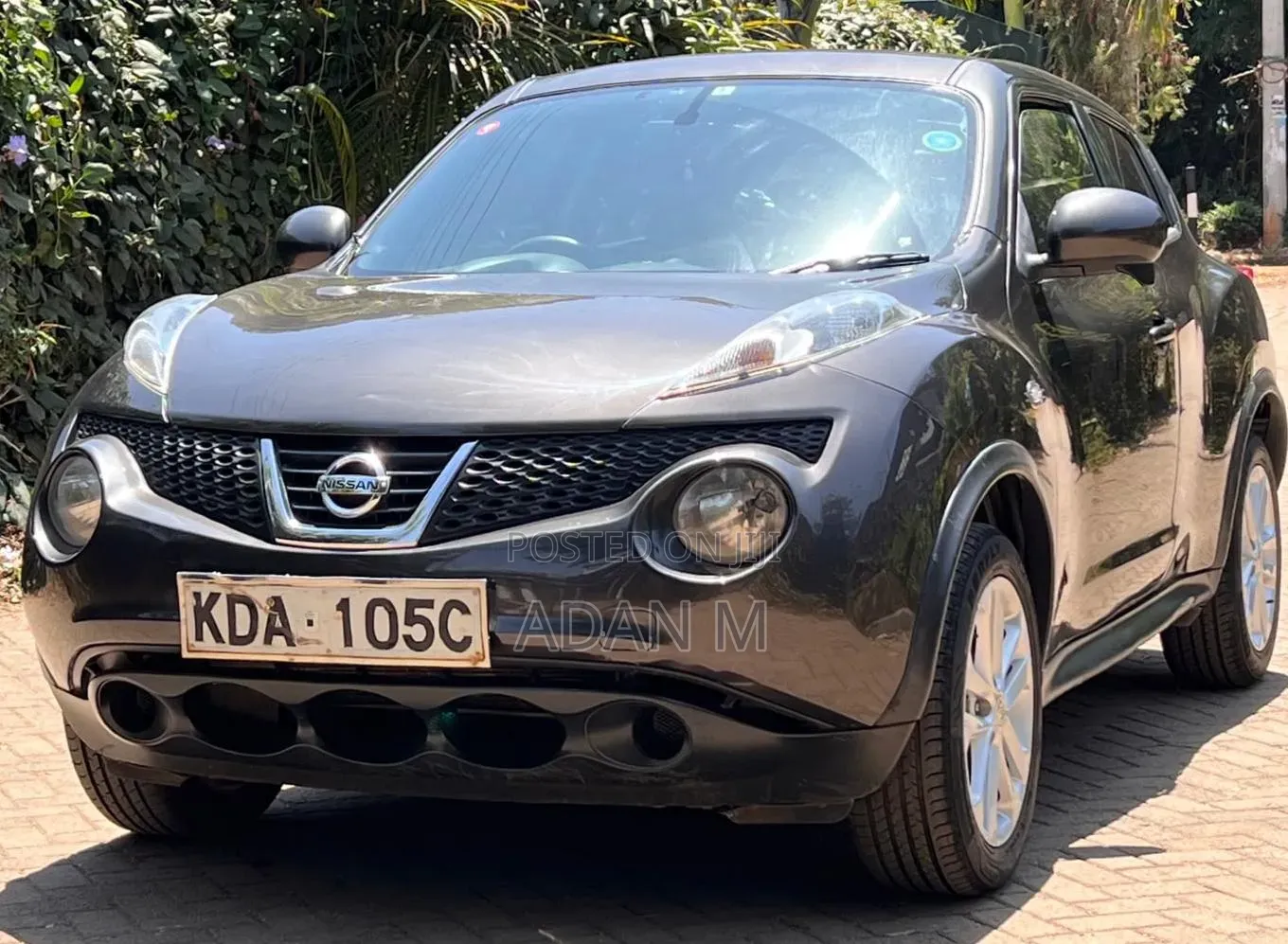 Nissan Juke 2013 Gray
