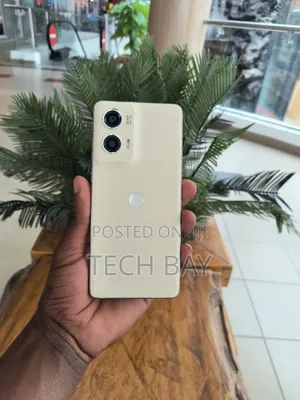 Motorola Moto G Stylus 5G (2024) 256 GB