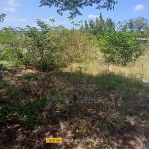 10 Acres for Sale at Girimacha, Sosobora Area