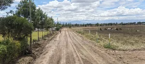 Nakuru Pipeline Jb 50 X 100 Plots