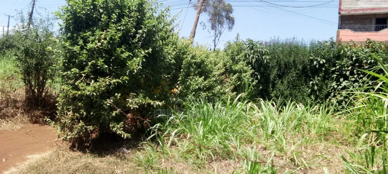 Half Acre Plot Asking Price 4.8M