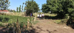 Nakuru Mang'u Mastoo 50 X 100 Plots