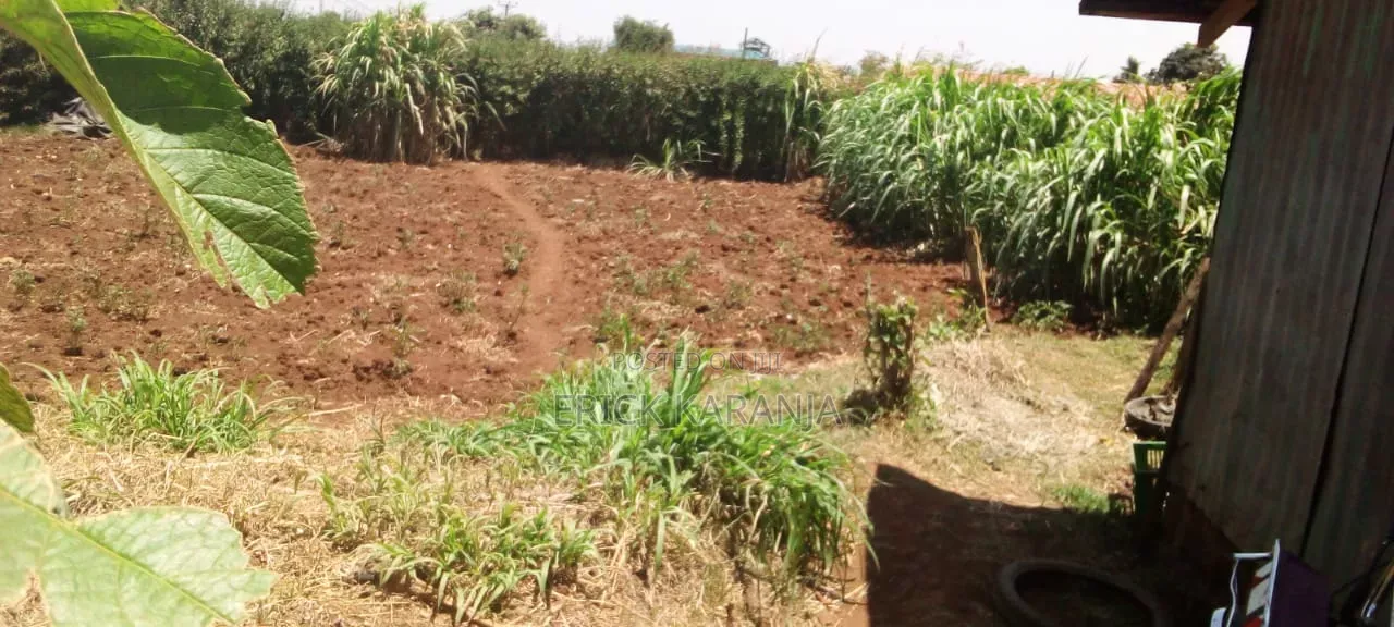 Half Acre Plot Asking Price 4.8M