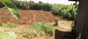 Half Acre Plot Asking Price 4.8M