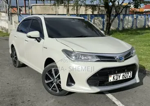 Toyota Axio 2019 Pearl