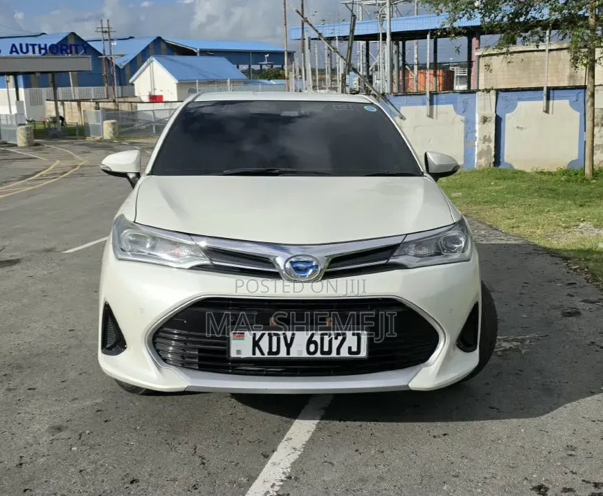 Toyota Axio 2019 Pearl