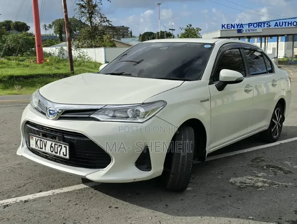Toyota Axio 2019 Pearl
