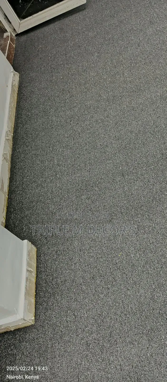 Plain Light Grey Office Wall to Wall Delta 4mm Carpet