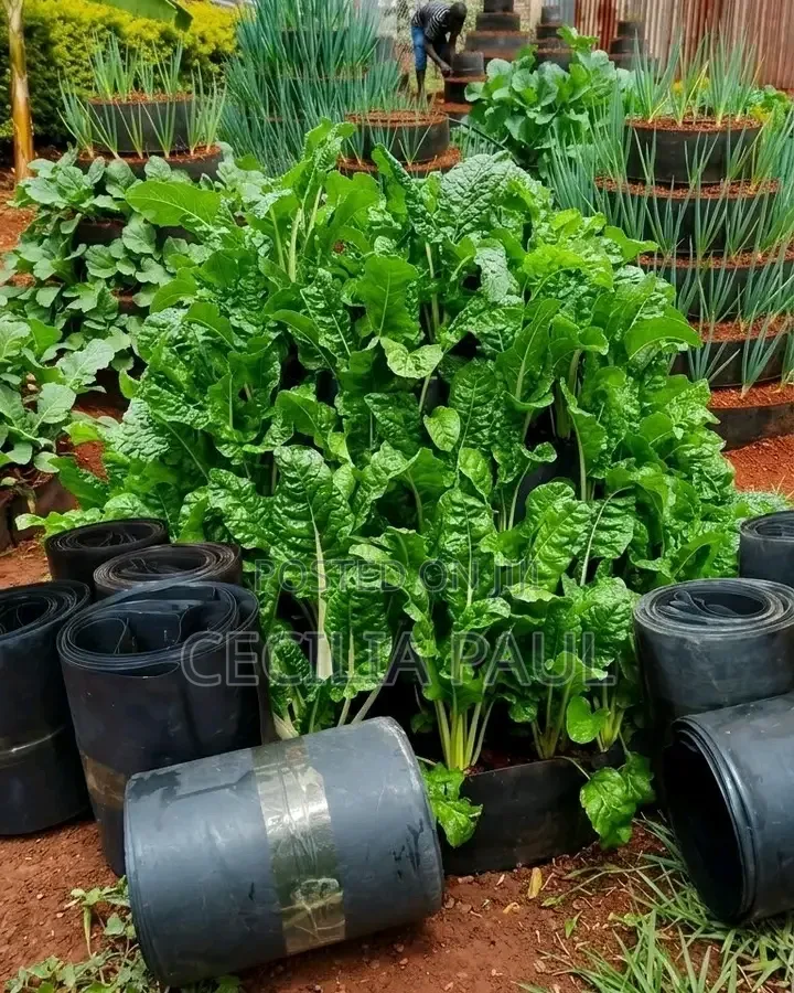 Kitchen Garden