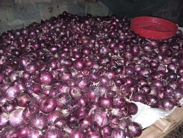 Red Round Onions