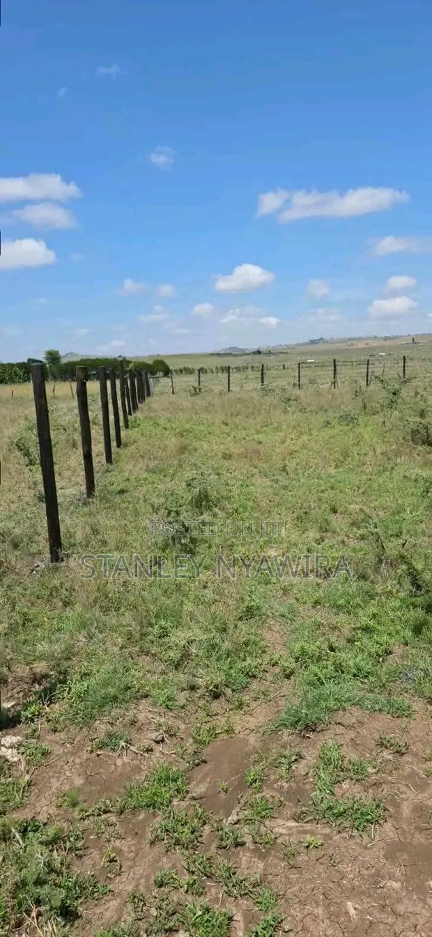 7 Acreas Timau Jikaze