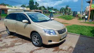 Toyota Axio 1.5 X 2WD 2010 Gold