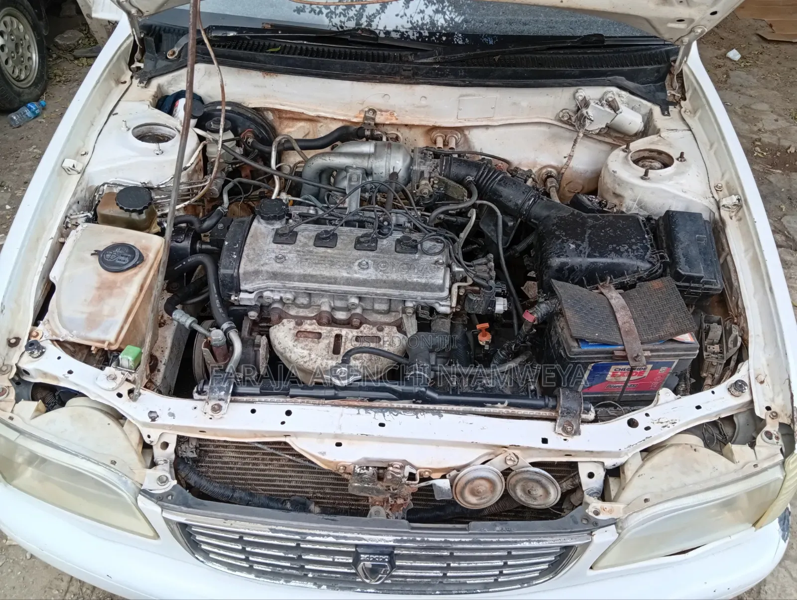 Toyota Corolla 1998 White